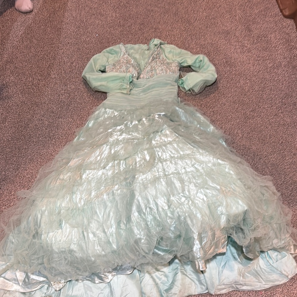 Elegant Light Green Gown